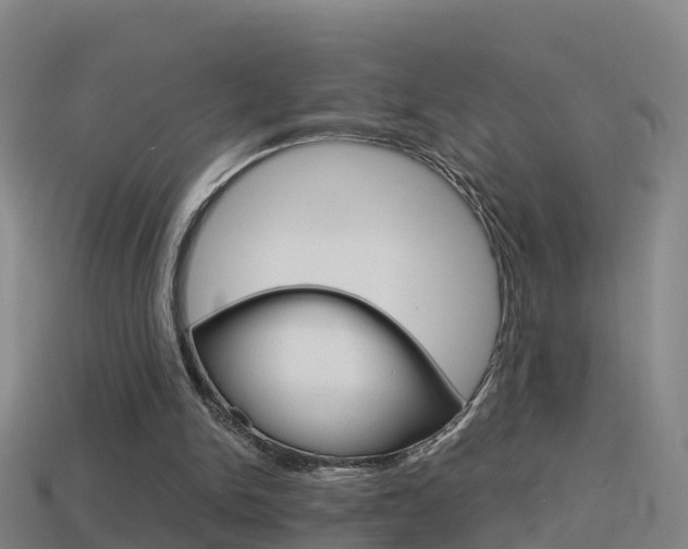 X0000114410150200910161039