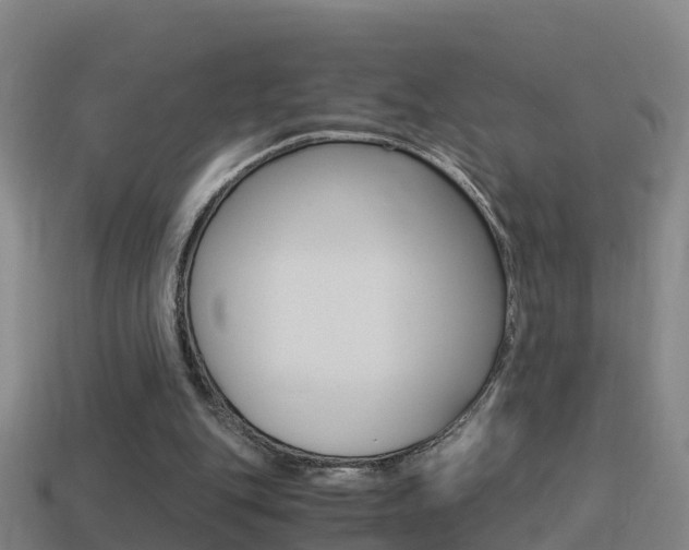 X0000114410151200910161039