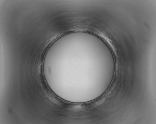 X0000114410153200910161039