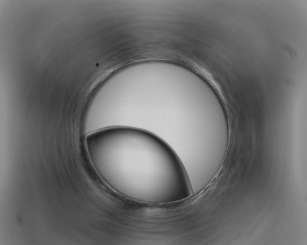 X0000114410154200910161039