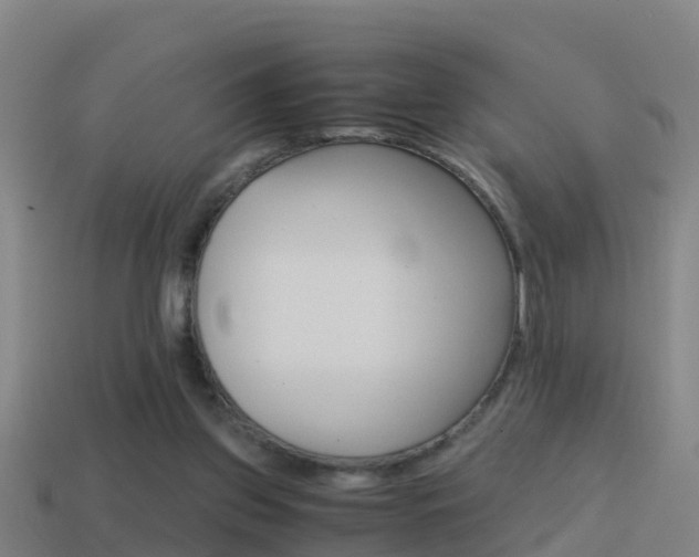 X0000114410157200910161039