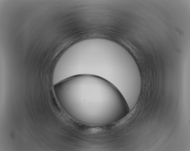 X0000114410158200910161039