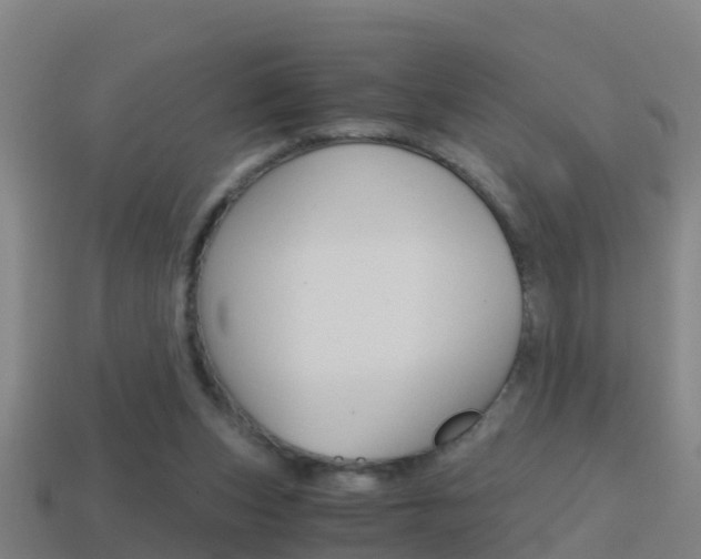 X0000114410159200910161039