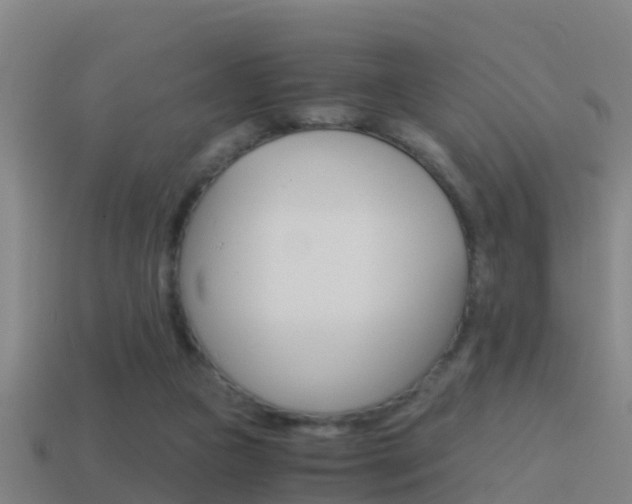 X0000114410161200910161039
