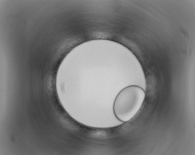 X0000114410162200910161039
