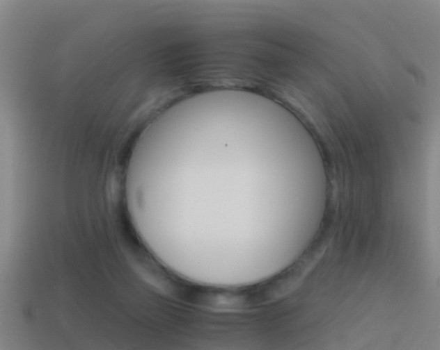 X0000114410165200910161039