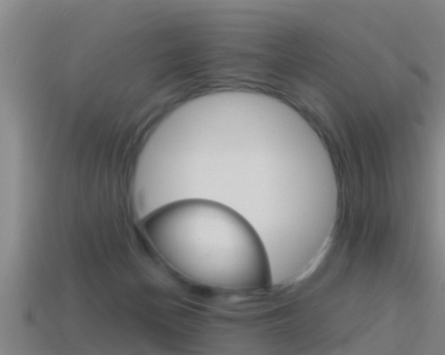 X0000114410174200910161039
