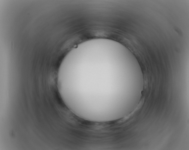 X0000114410175200910161039