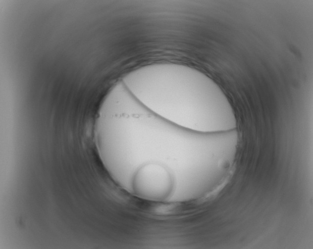 X0000114410178200910161039