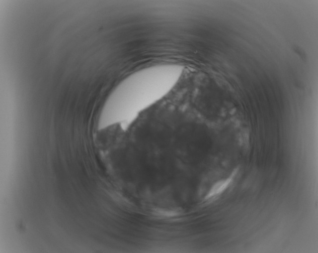 X0000114410179200910161039