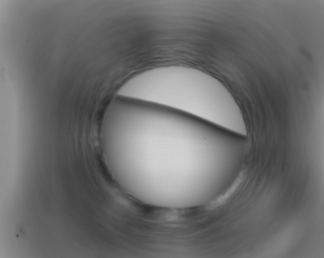 X0000114410182200910161040