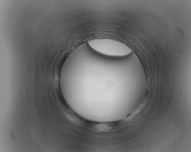 X0000114410183200910161040
