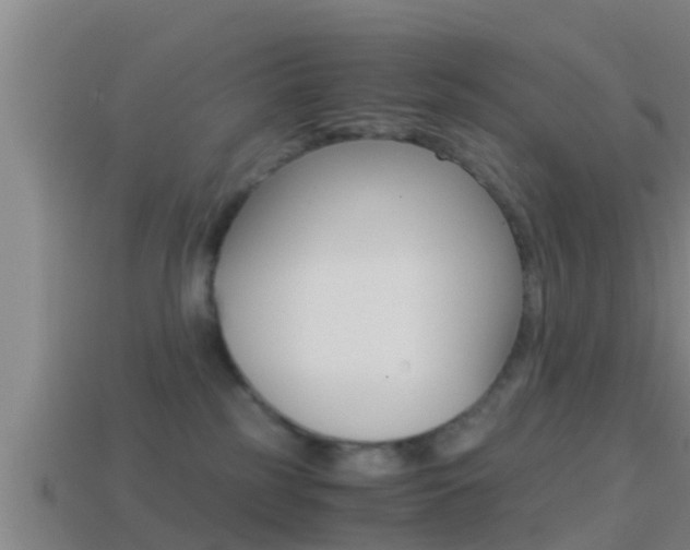 X0000114410185200910161040