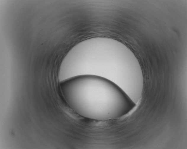 X0000114410186200910161040
