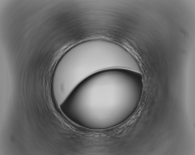 X0000114410193200910161039