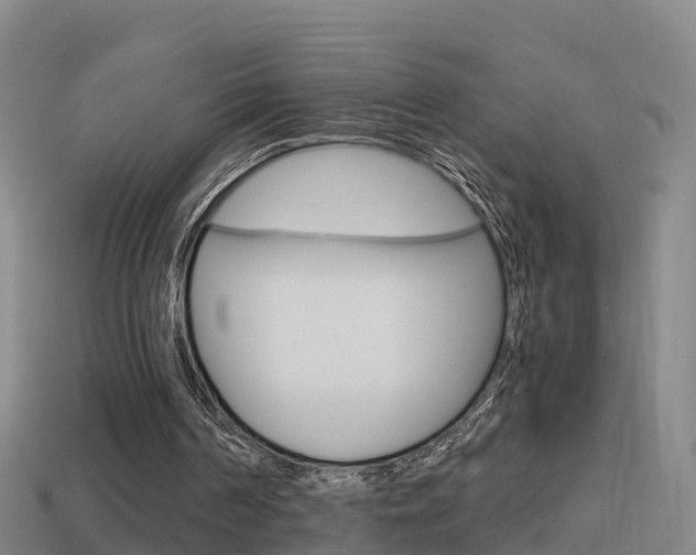 X0000114410194200910161039