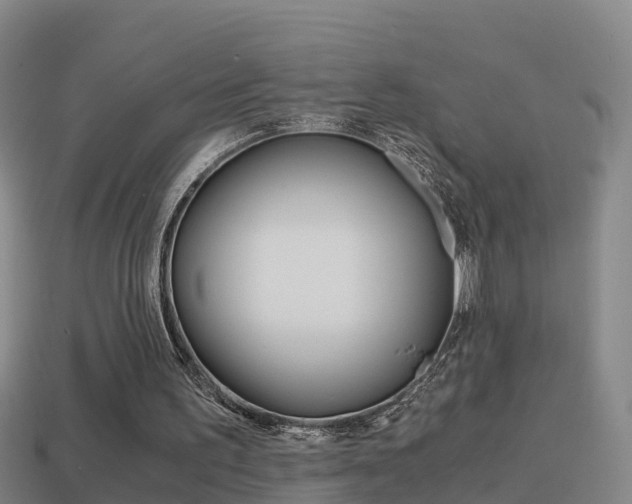 X0000114410195200910161039