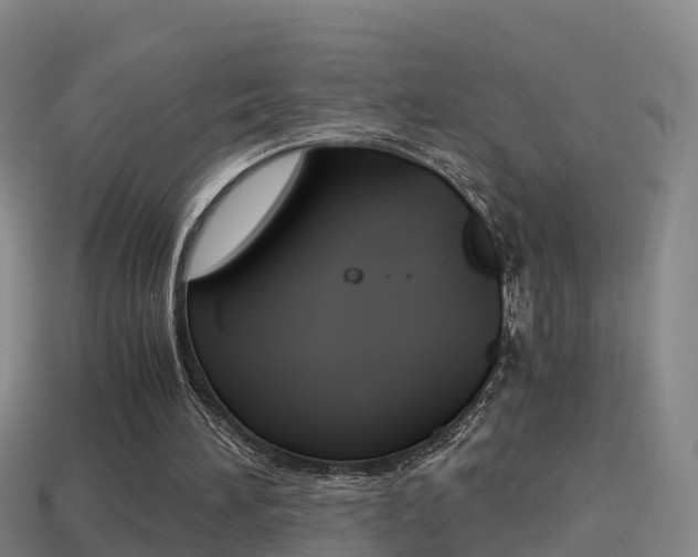 X0000114410196200910161039