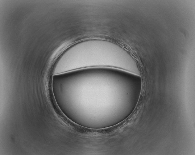 X0000114410197200910161039
