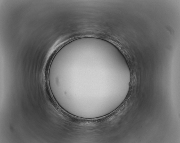 X0000114410198200910161039