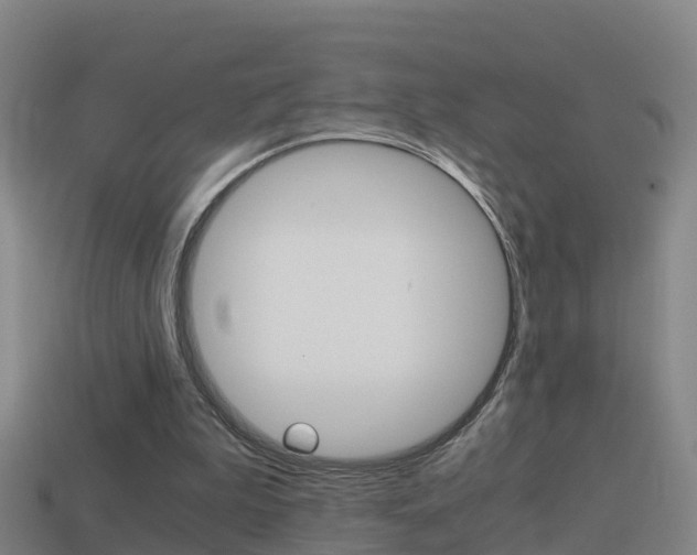 X0000114410199200910161039