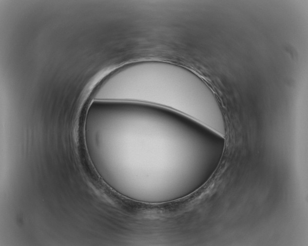 X0000114410200200910161039