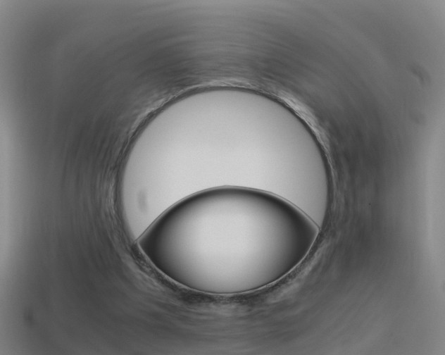 X0000114410201200910161039