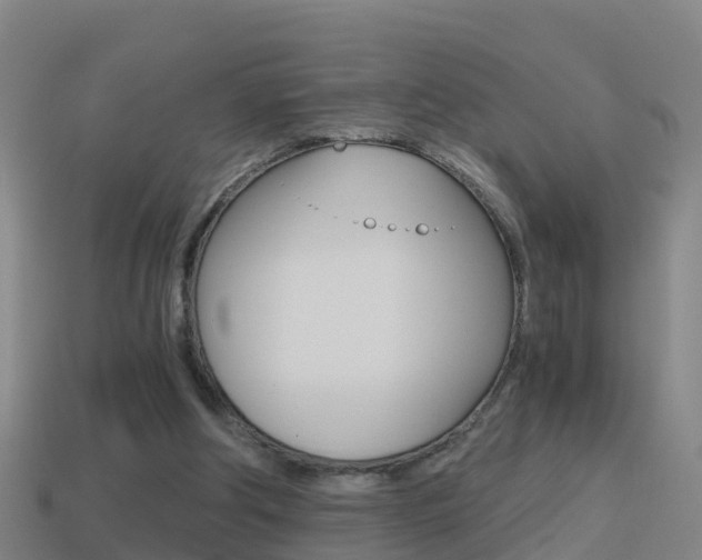 X0000114410202200910161039