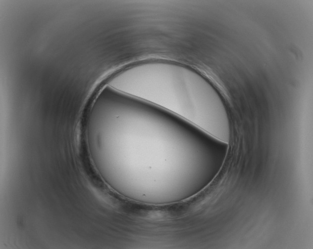 X0000114410204200910161039