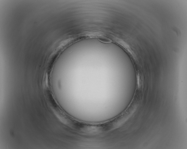 X0000114410205200910161039