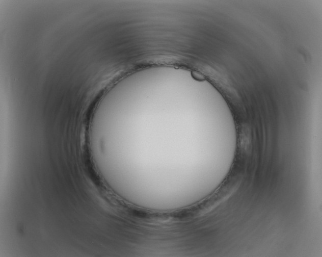 X0000114410206200910161039