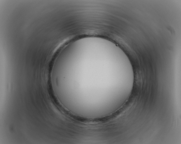 X0000114410208200910161039