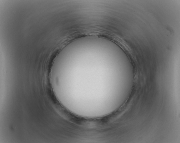X0000114410209200910161039