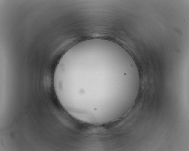 X0000114410210200910161039