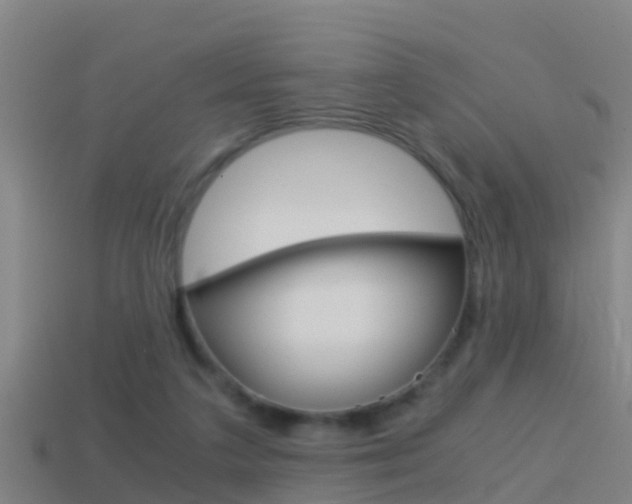 X0000114410211200910161039