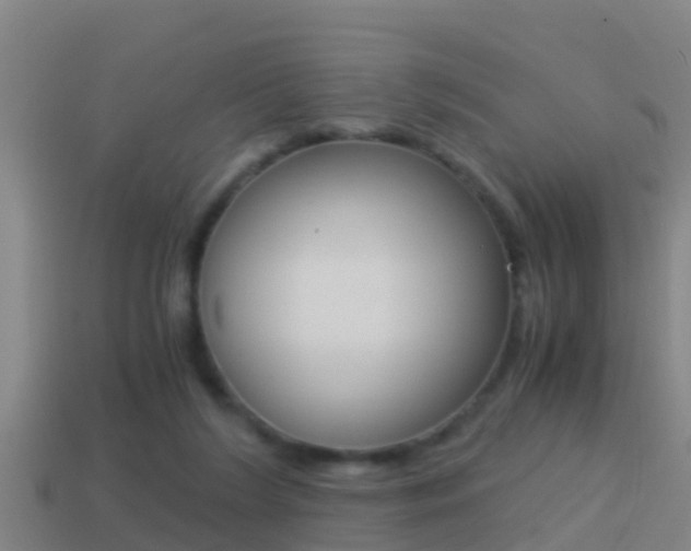 X0000114410212200910161039