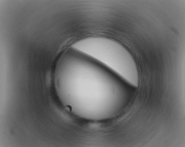 X0000114410216200910161039