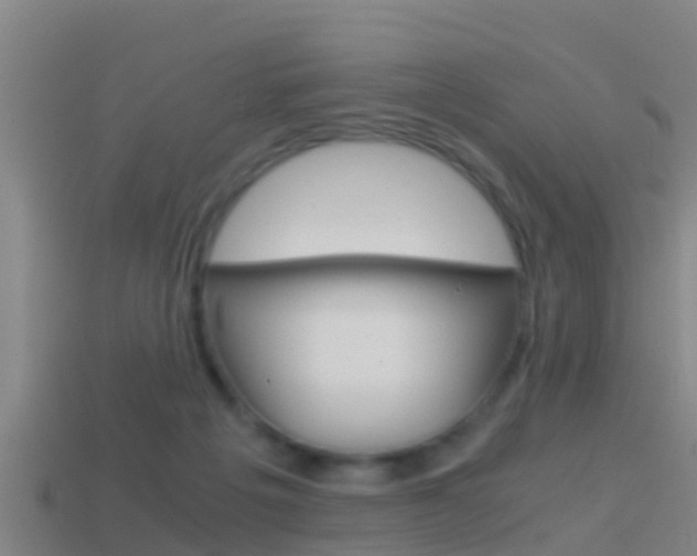 X0000114410217200910161039
