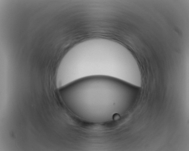 X0000114410219200910161039