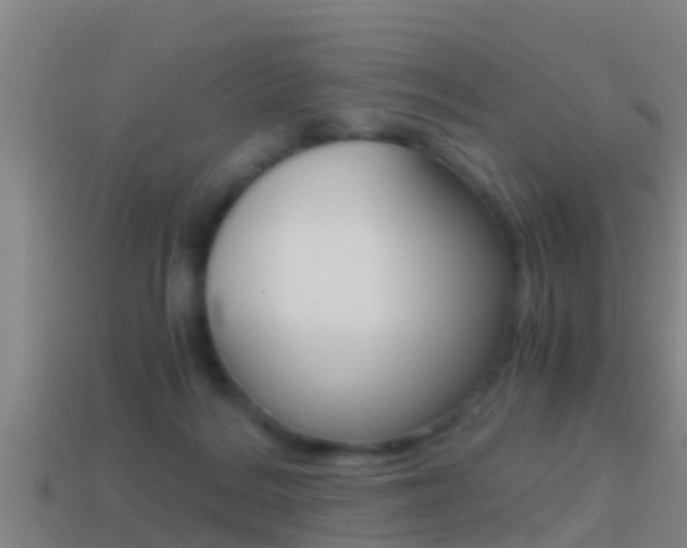 X0000114410220200910161039