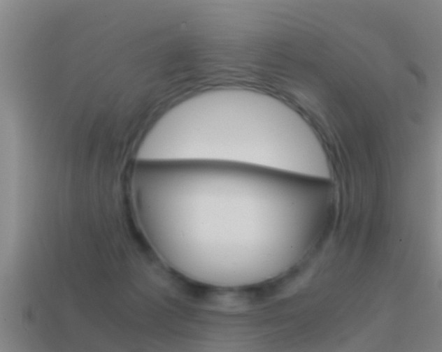 X0000114410221200910161039