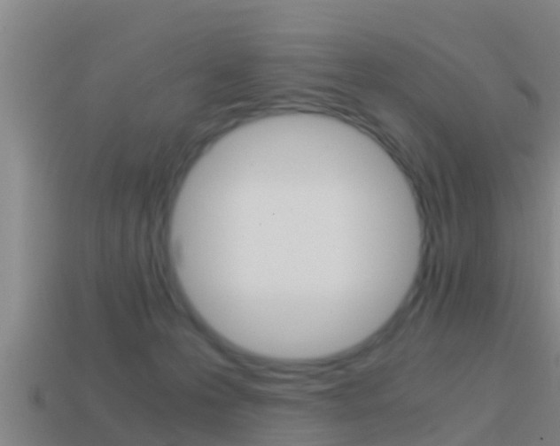 X0000114410223200910161039