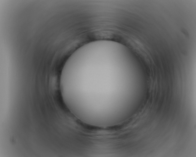 X0000114410224200910161039