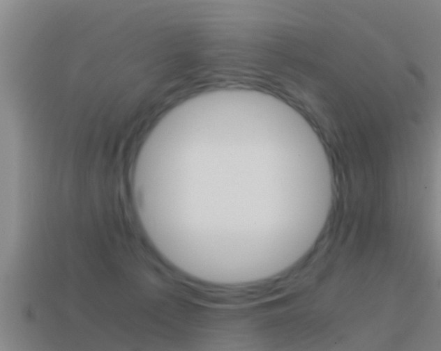 X0000114410225200910161039