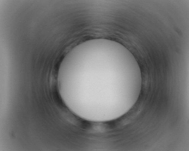 X0000114410226200910161039