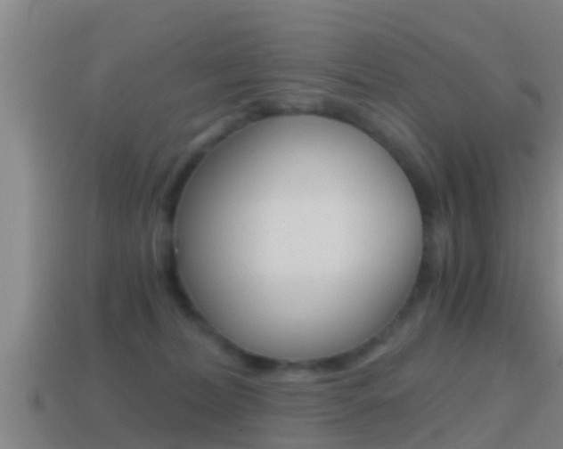 X0000114410228200910161039