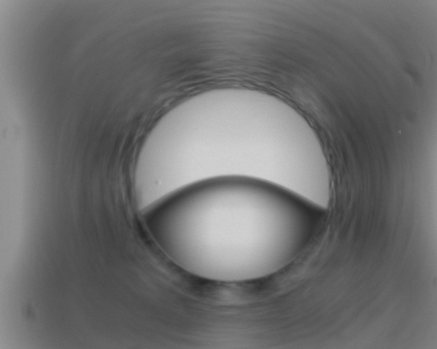 X0000114410229200910161039