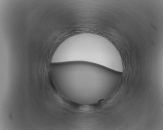X0000114410231200910161039