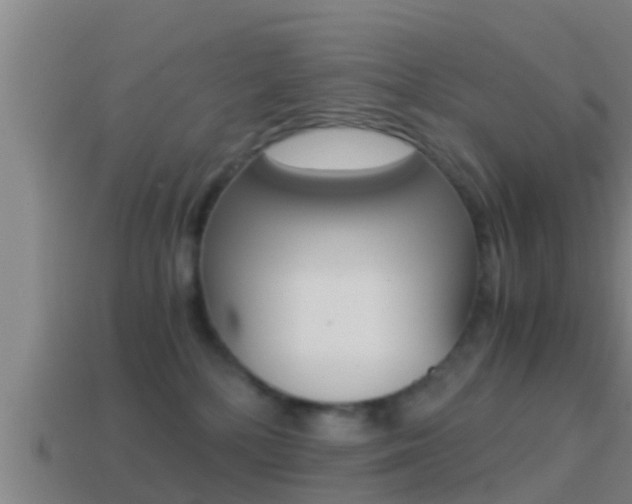 X0000114410232200910161039