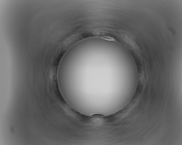 X0000114410233200910161038